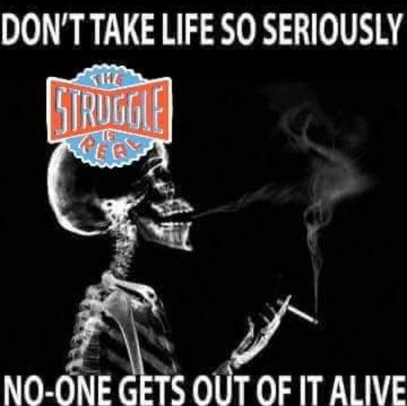 Meet your Posher, Charles - Picture 3 of 11